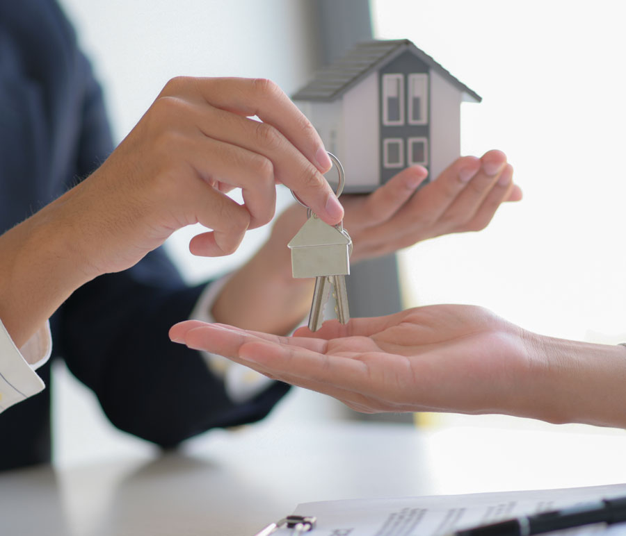 Renovation guidance that supports real results